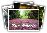 Link zur Galerie